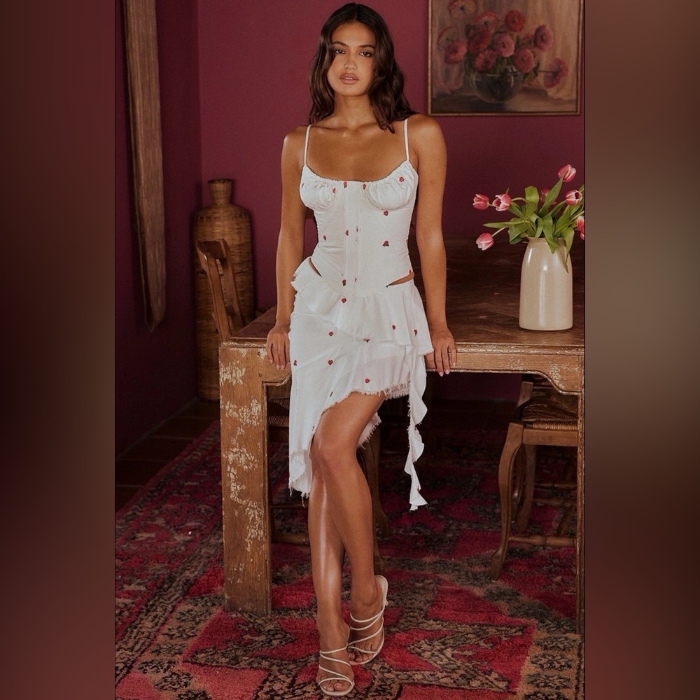NWT Mistress Rocks Cloud Rose Embroidered Corset & Mini Skirt Size XS